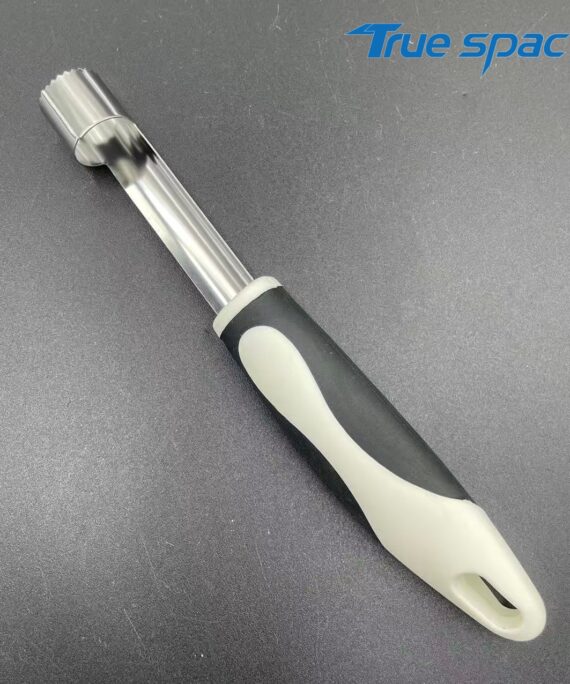 Kitchen small tools: Stainless steel fruit seed and cherry seed remover