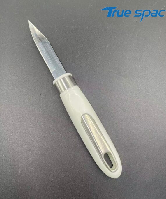 High-quality stainless steel kitchen tool: Sharp straight paring knife for detailed ingredient cutting