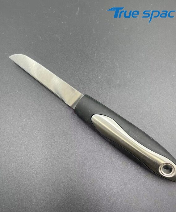 High-quality Modern Stainless Steel Fruit Knife with Plastic Handle Multi-Purpose for Kitchen Use