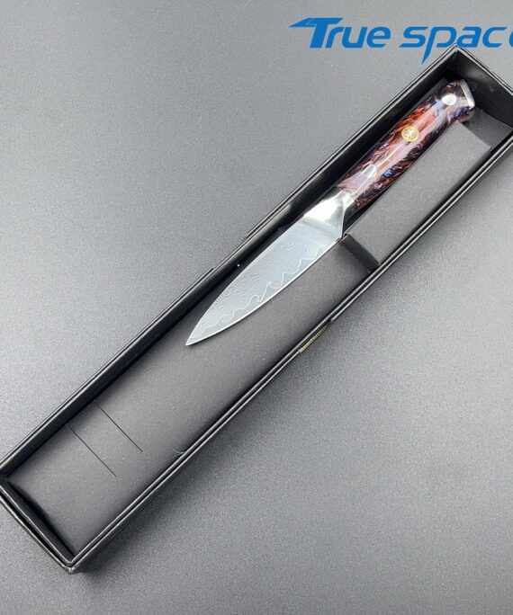 Factory Direct Sale Damascus Steel Kitchen Knives Professional Fruit Knife with Resin Handle