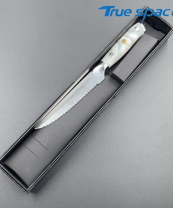 Factory Direct Sale Durable Resin Handle Stainless Steel Japanese Kitchen Steak Knife