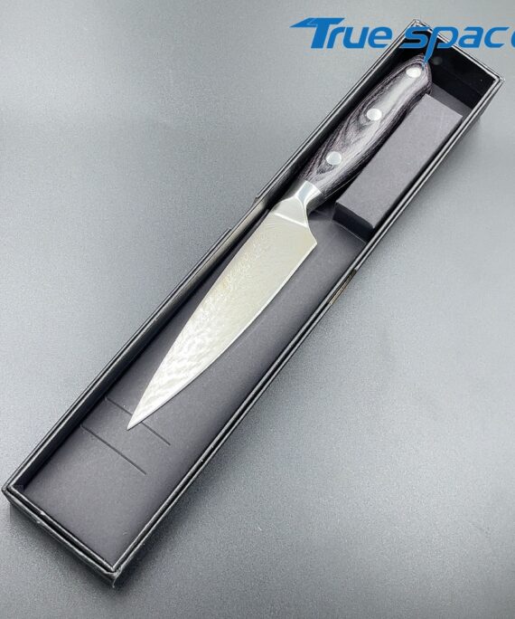 Professional Sharp Fruit Knife 3cr13 Stainless Steel Kitchen Chef Knife for Restaurant