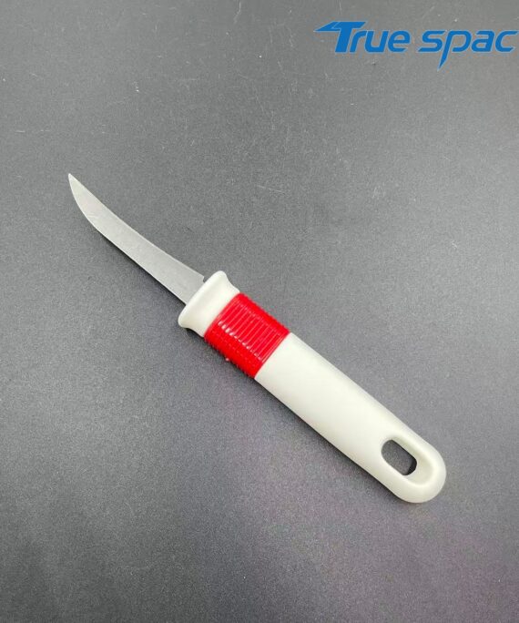 Stainless Steel Fruit Knife with Plastic Handle, a Household Kitchen Peeler